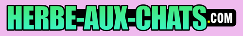 Herbe-aux-chats